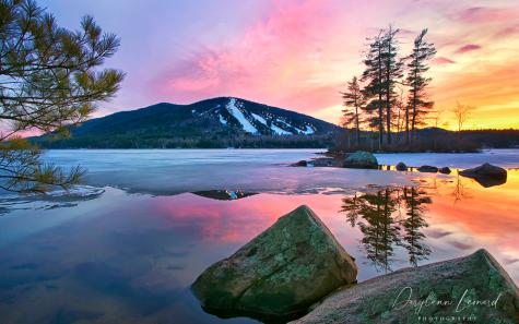 56 Hydrangea Circle Naples ME 04055