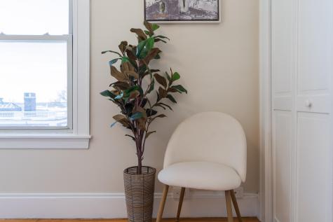 197 Pine Street Portland ME 04102