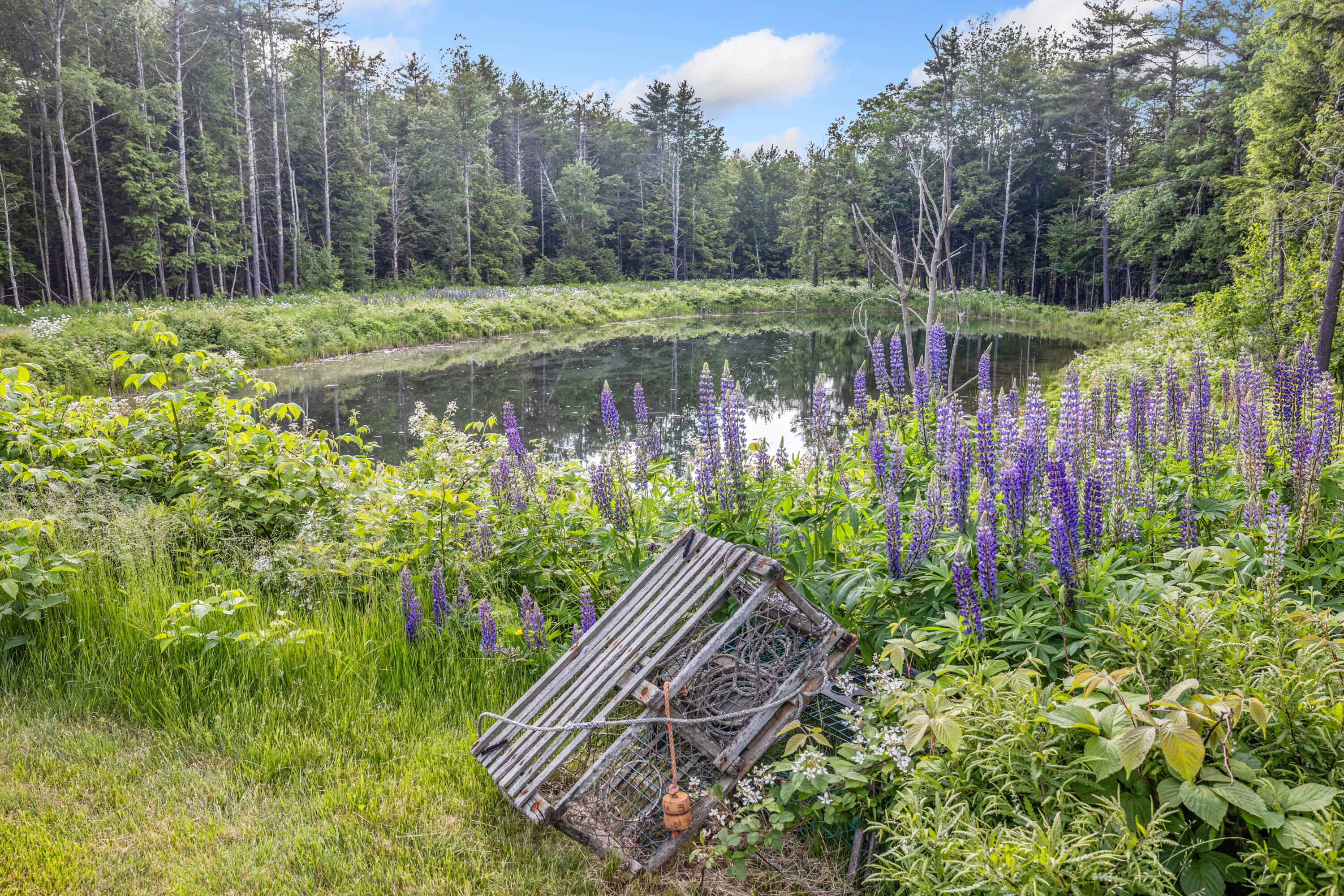 18 Frontier Way Arundel ME 04046