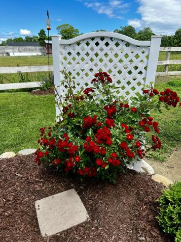 994 Portland Road Saco ME 04072