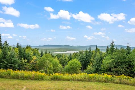 5 Gray Fox Lane Sandy River Plt ME 04970