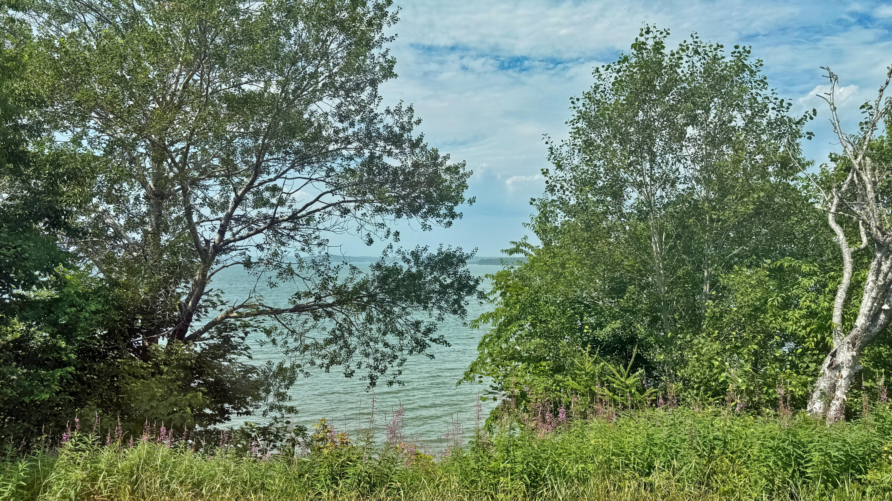 20 Misty Harbor Lane Cutler ME 04626