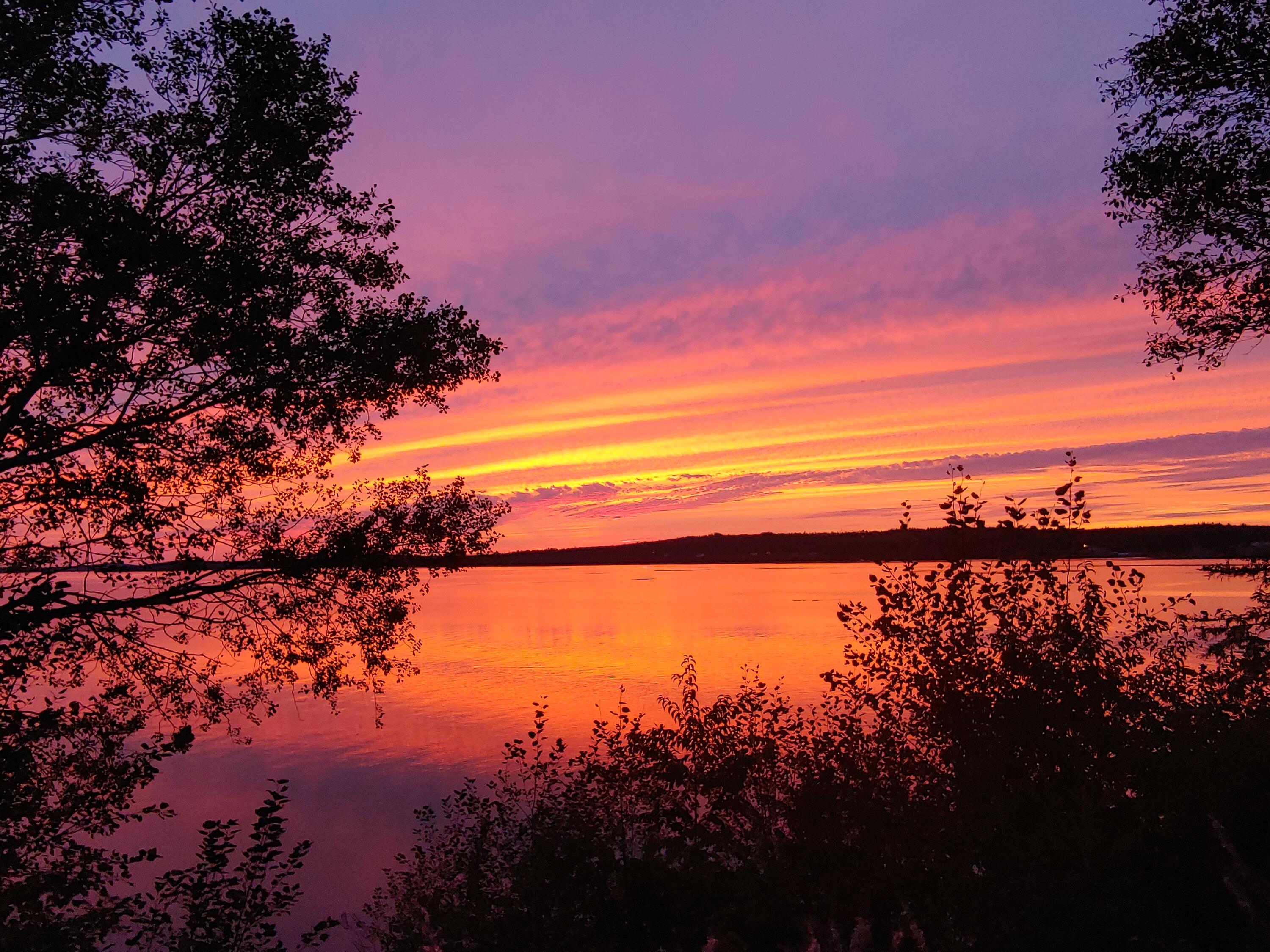 20 Misty Harbor Lane Cutler ME 04626