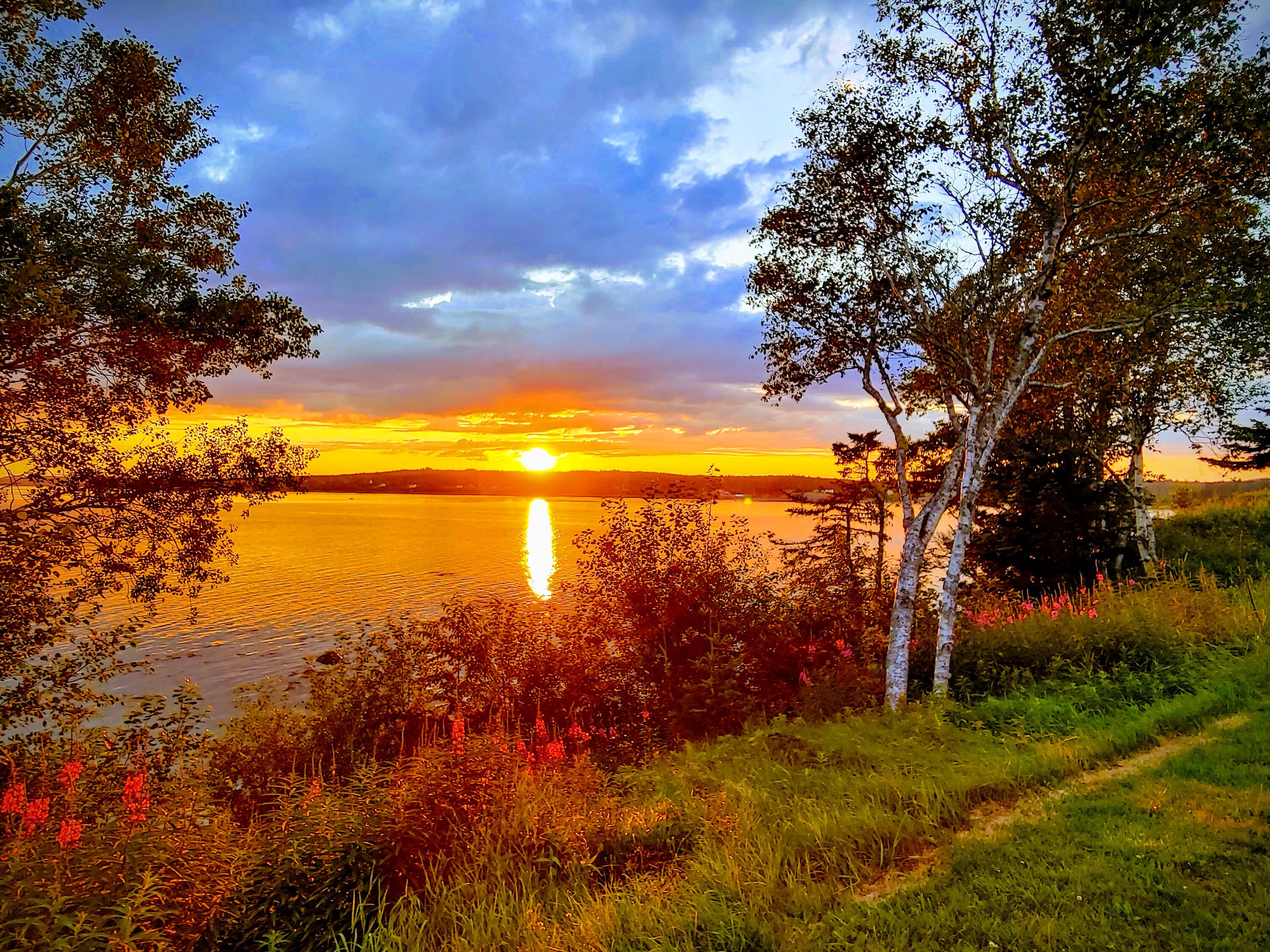 20 Misty Harbor Lane Cutler ME 04626