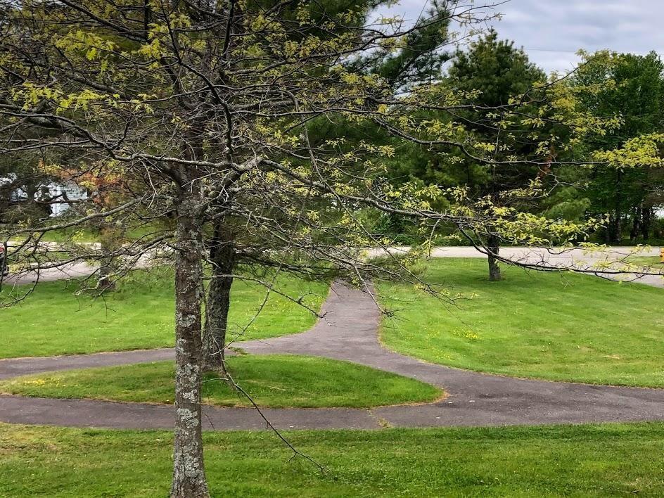 20 Misty Harbor Lane Cutler ME 04626