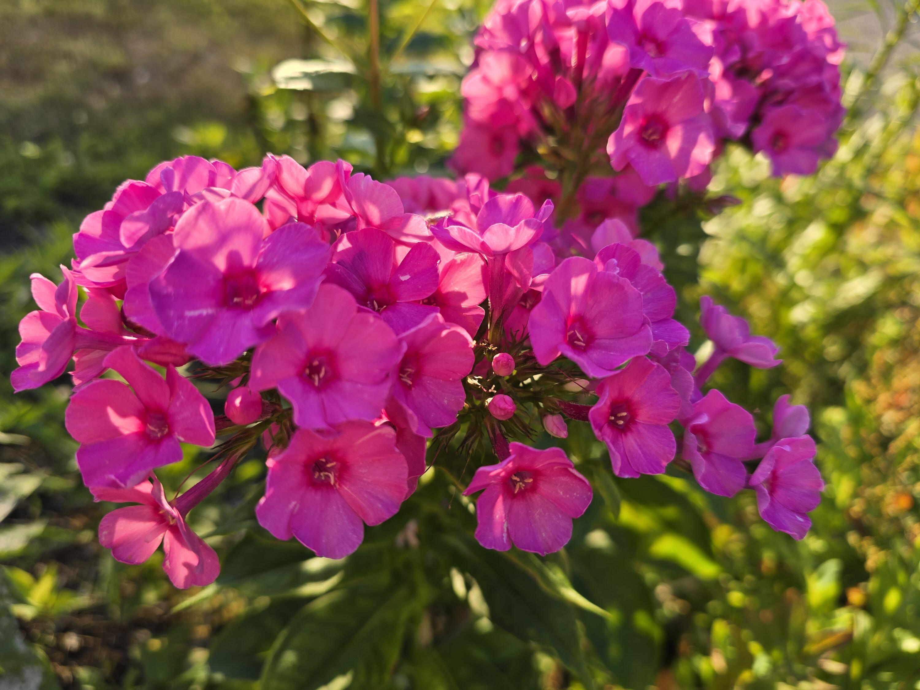 27 Pepperell Street Saco ME 04072