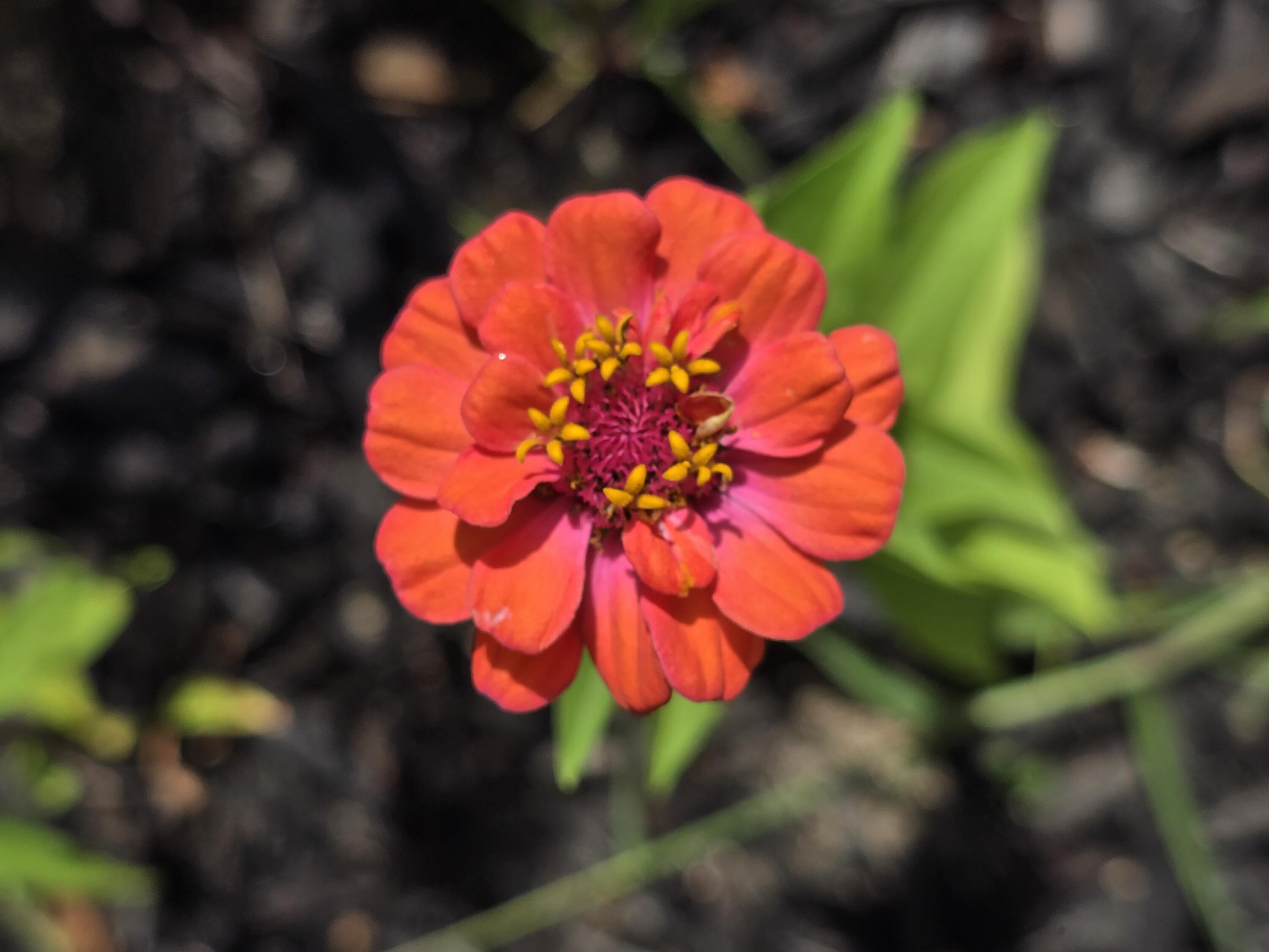 27 Pepperell Street Saco ME 04072