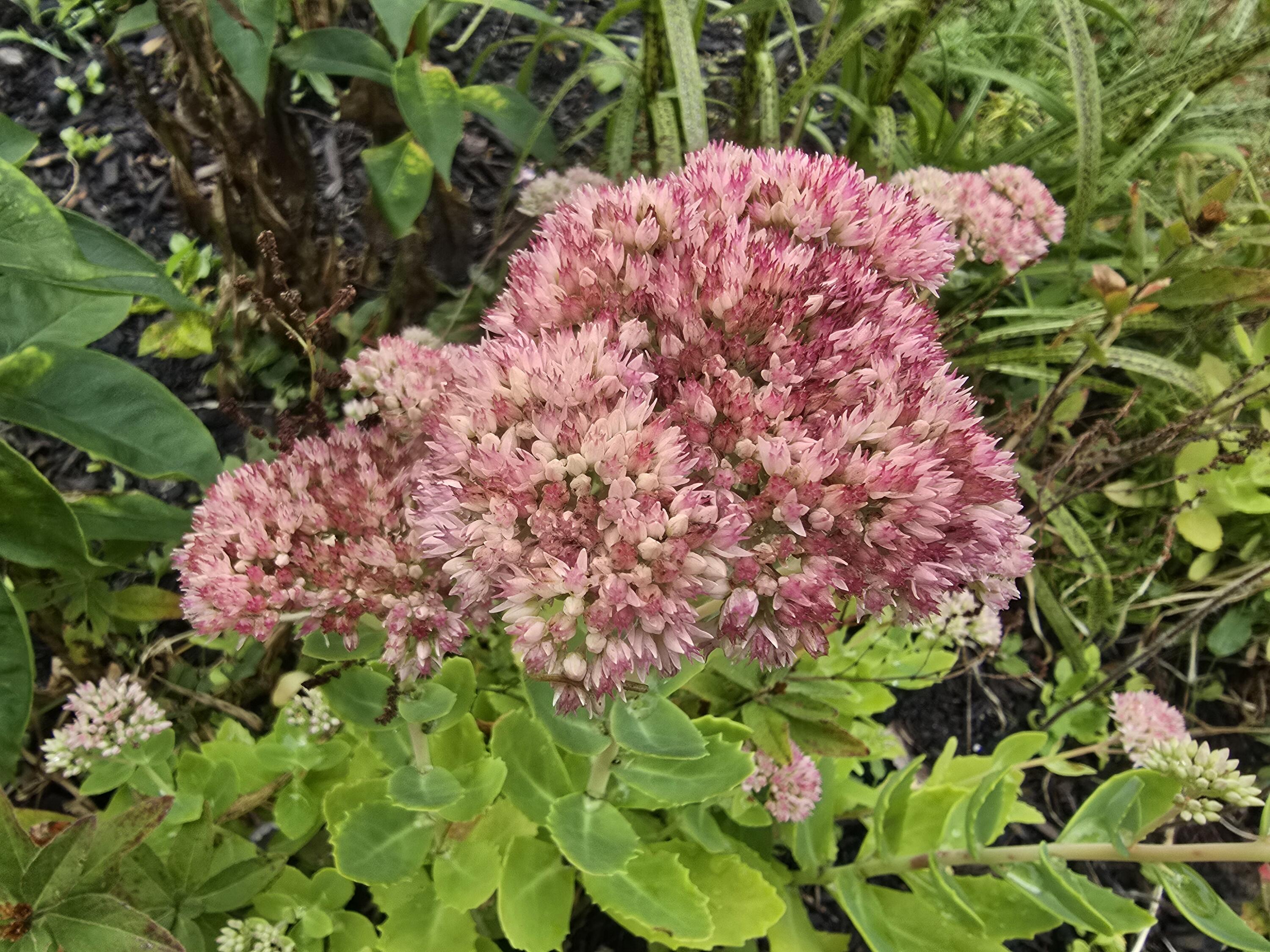 27 Pepperell Street Saco ME 04072