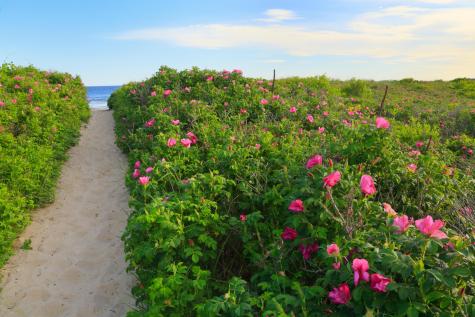 36 Shorebreezes Lane Kennebunk ME 04043