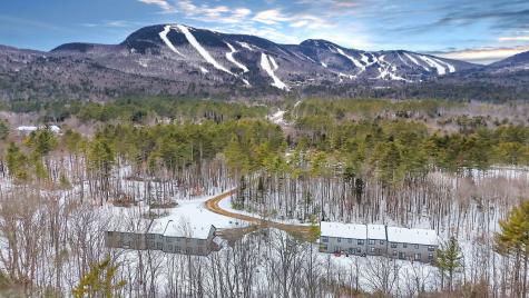 11 Lodgepole Lane Newry ME 04261