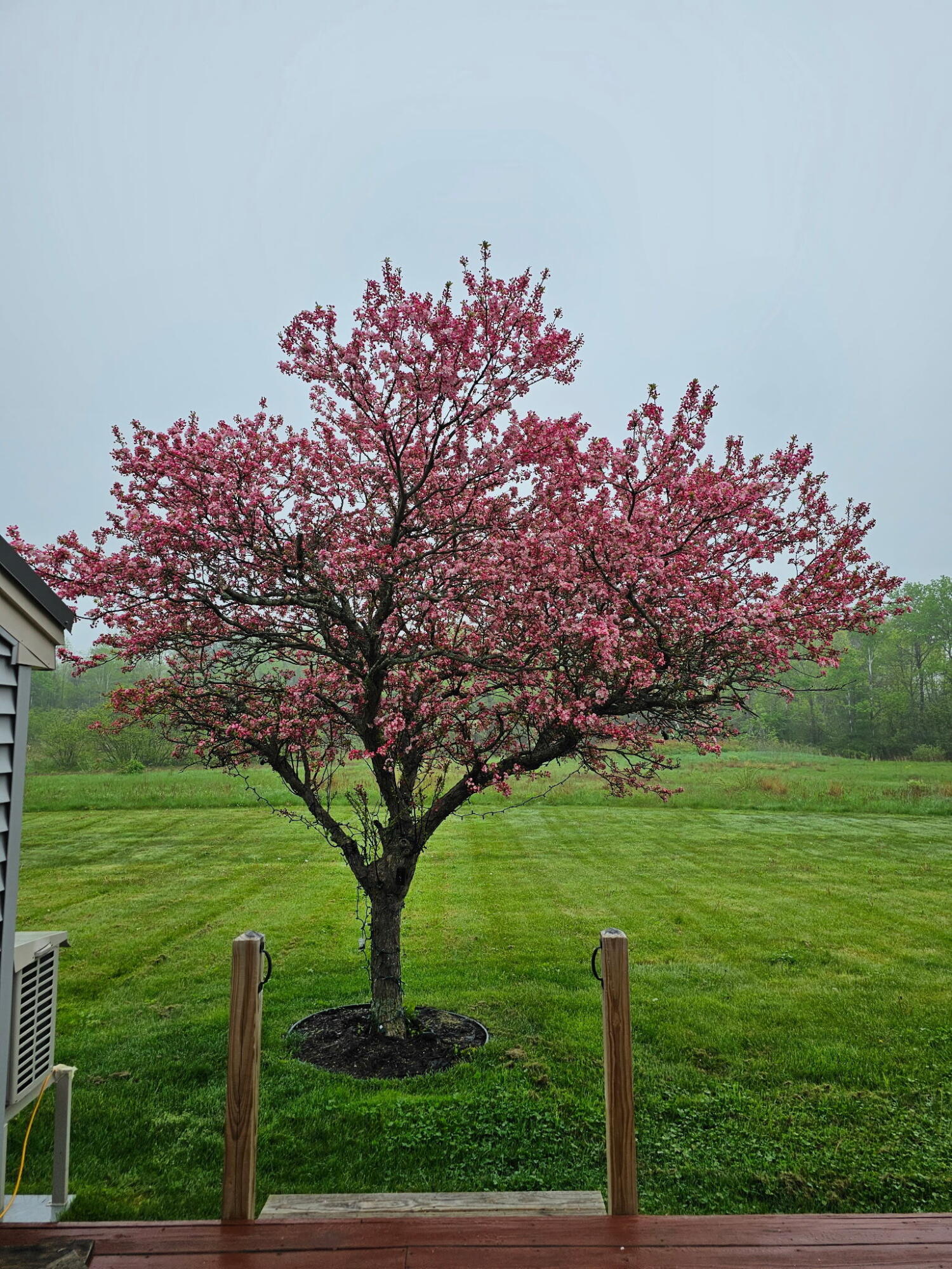 36 Meadowbrook Drive Gorham ME 04038