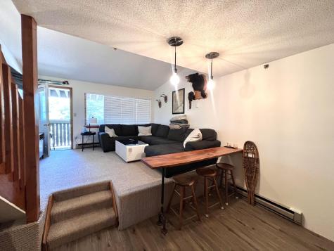 8 Fall Line Drive Newry ME 04261