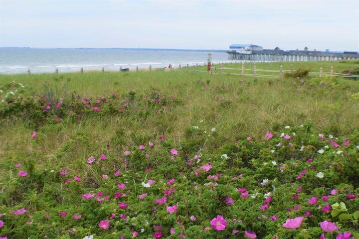 1 Cleaves Street Old Orchard Beach ME 04064