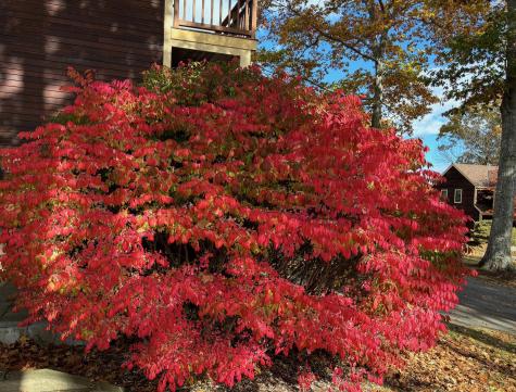 40 Harbor Drive Lincolnville ME 04849