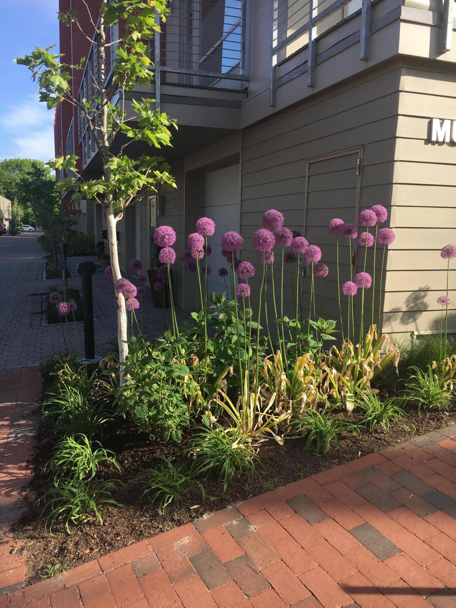 229 Sheridan Street Portland ME 04101