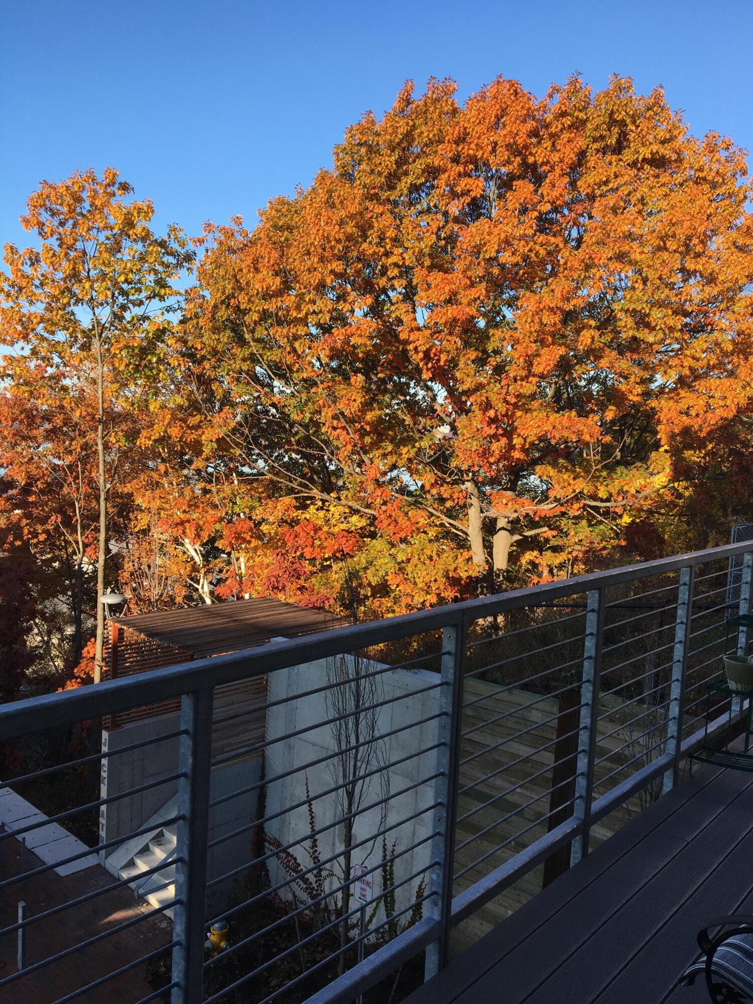 229 Sheridan Street Portland ME 04101