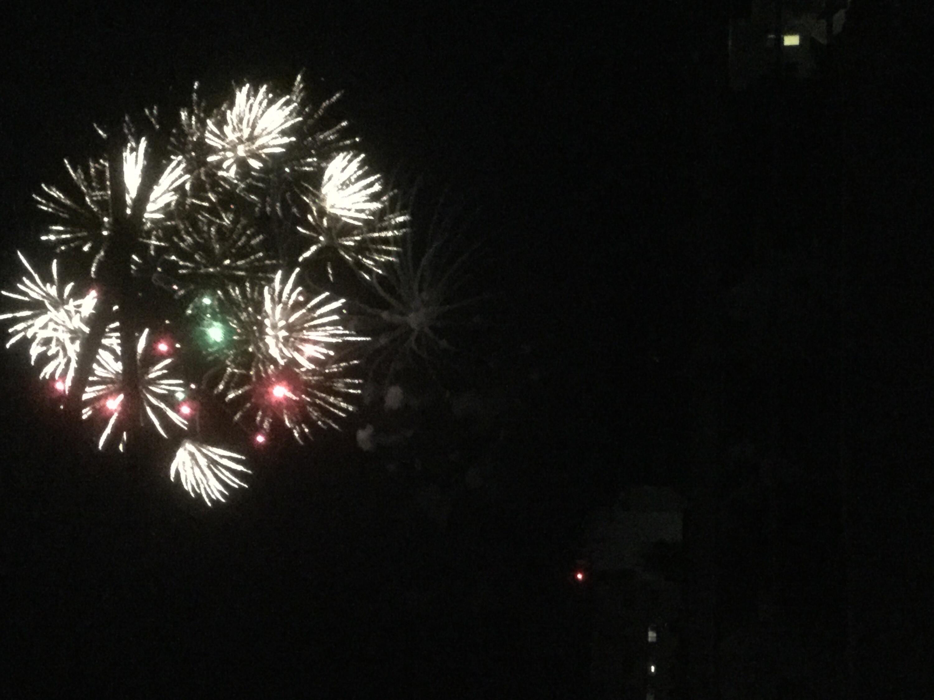 229 Sheridan Street Portland ME 04101