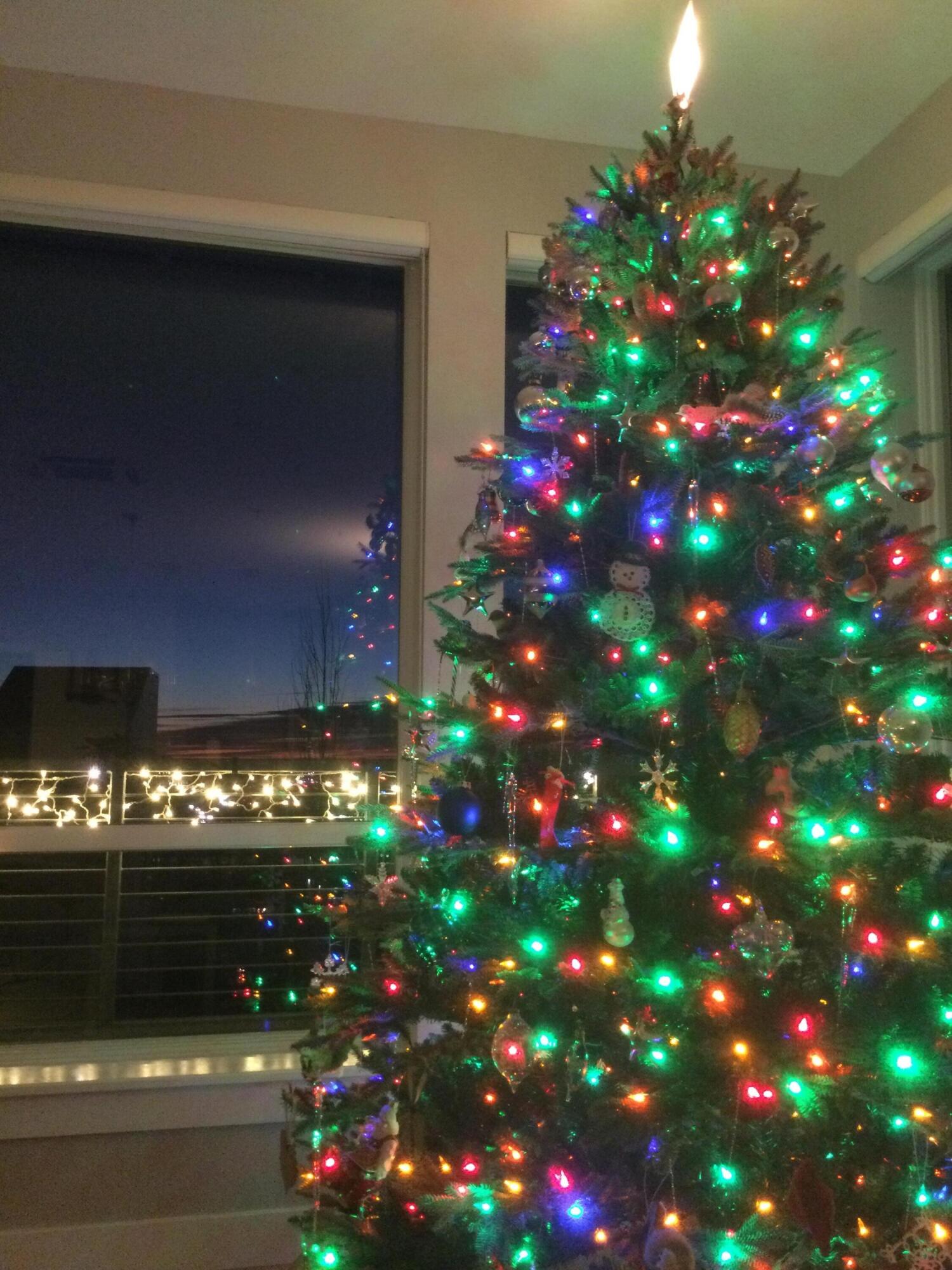 229 Sheridan Street Portland ME 04101