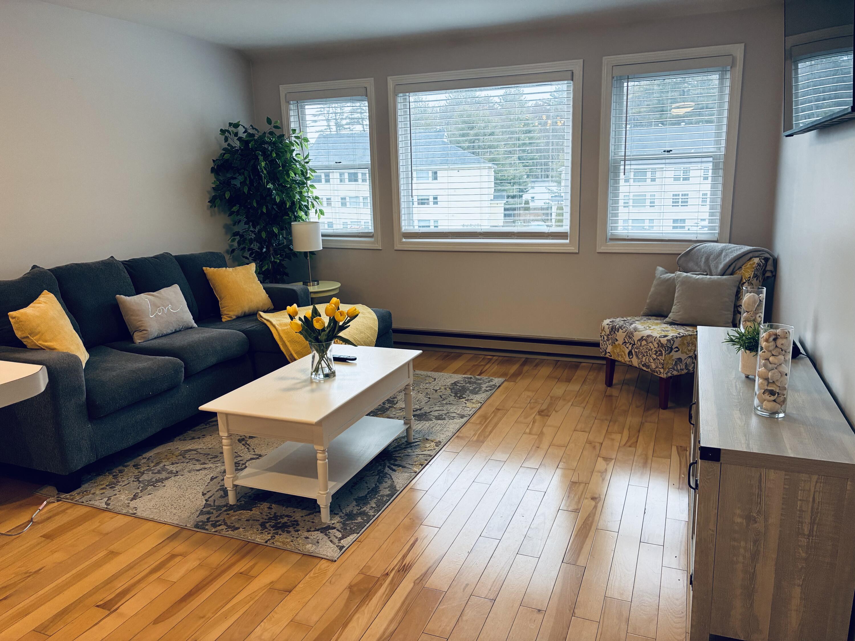 18 Smithwheel Road Old Orchard Beach ME 04064