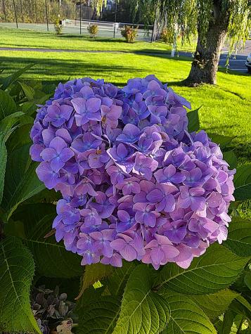 147 Beach Avenue Kennebunk ME 04043