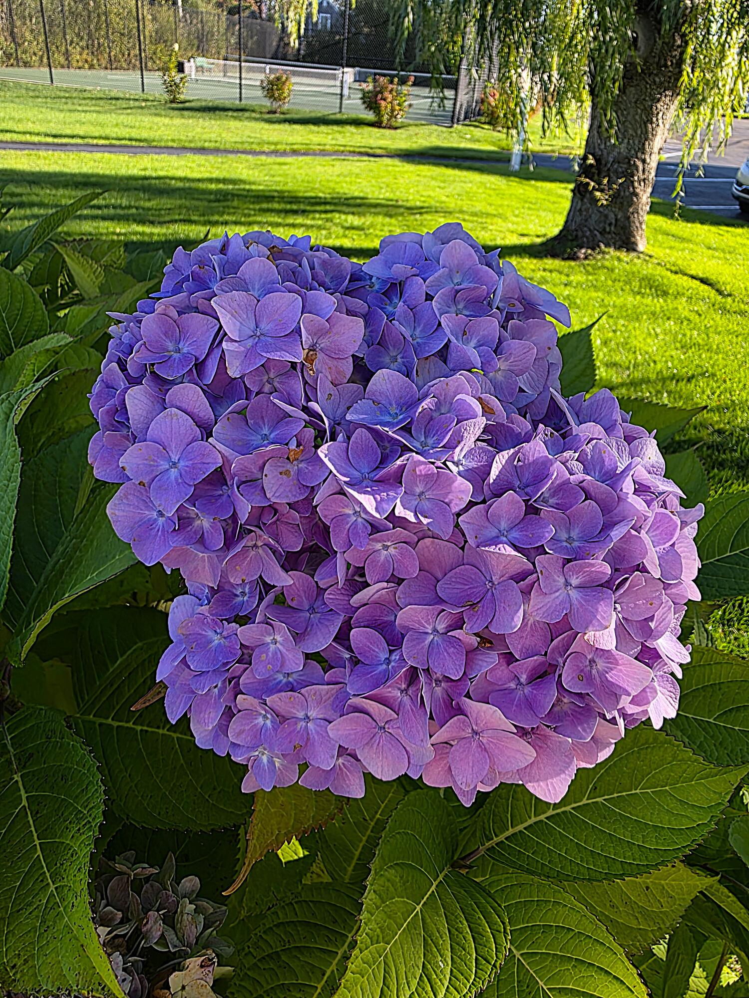 147 Beach Avenue Kennebunk ME 04043