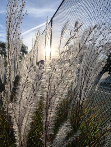 147 Beach Avenue Kennebunk ME 04043