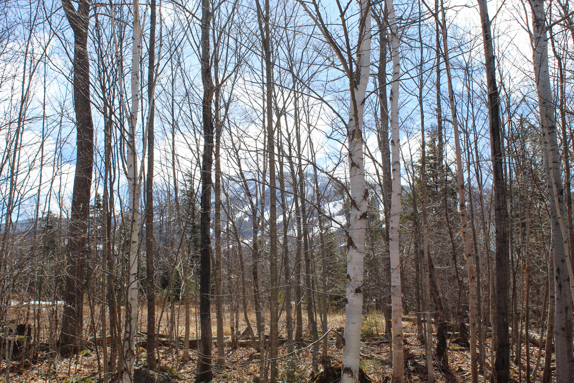 429 Snowflower Court Carrabassett Valley ME 04947