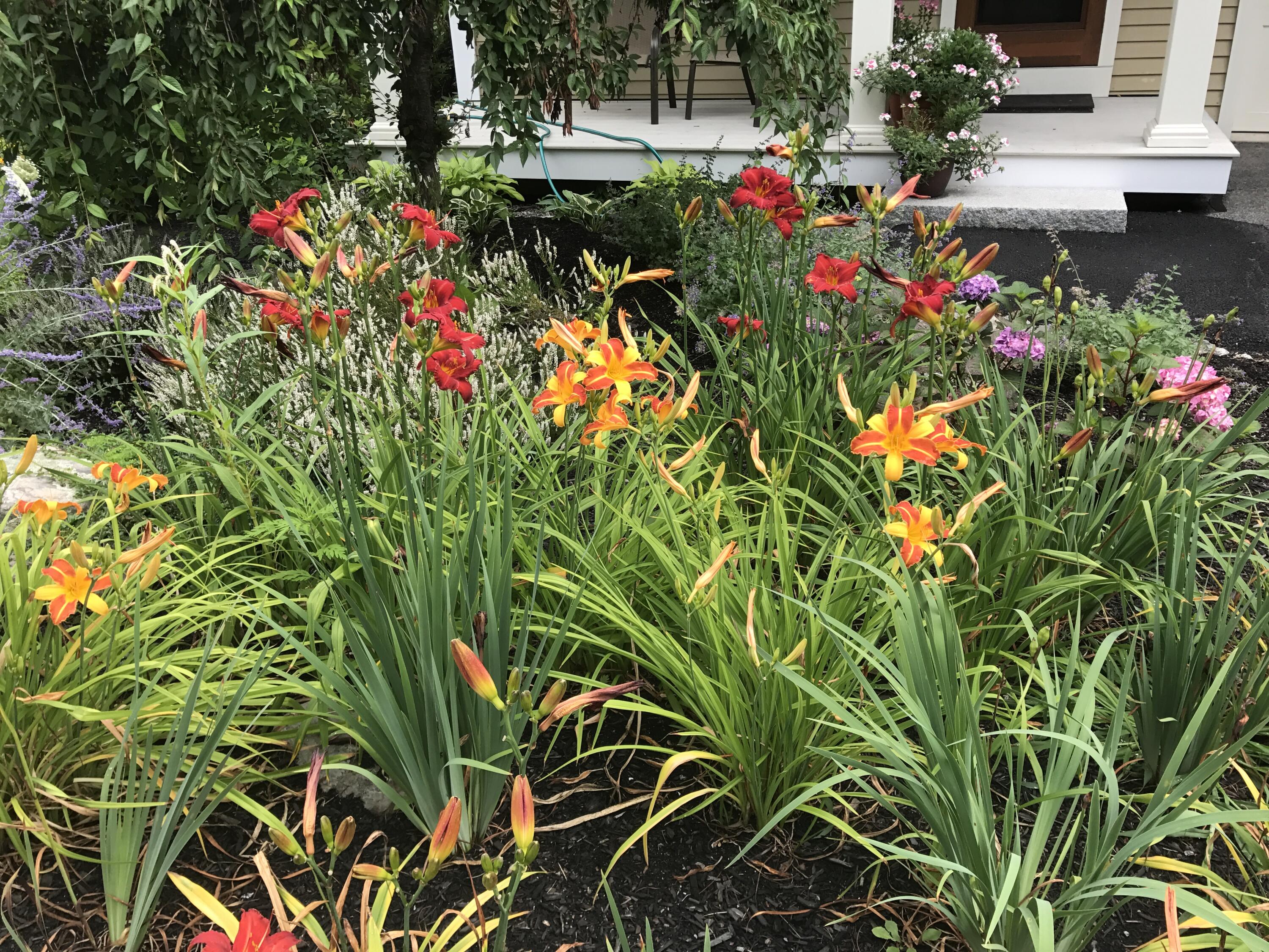 20 Harvest Ridge Road Freeport ME 04032