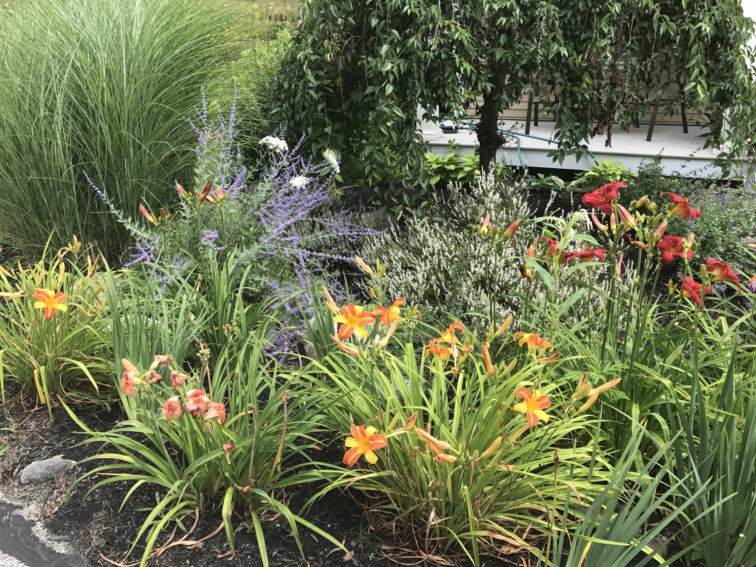 20 Harvest Ridge Road Freeport ME 04032