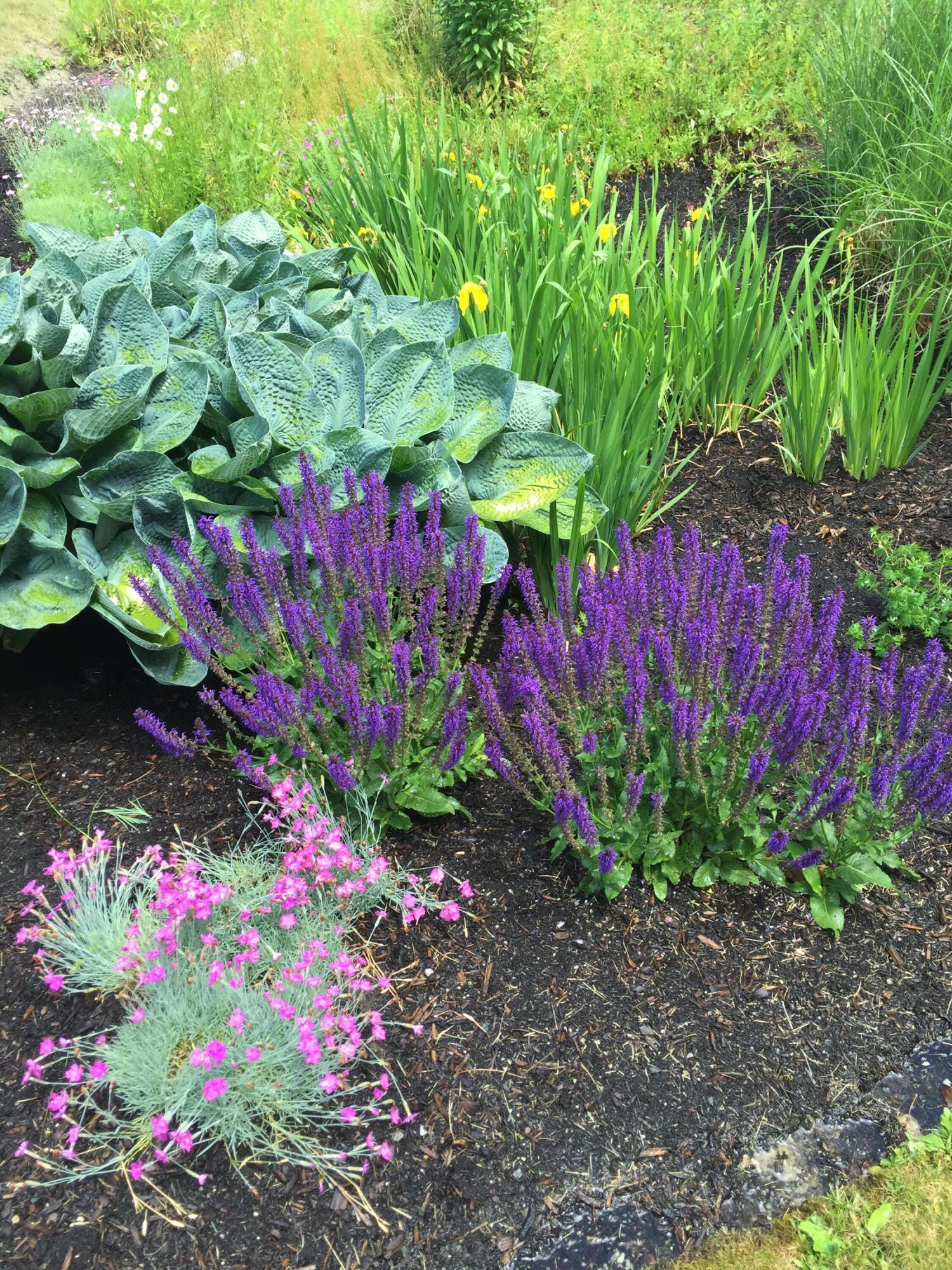 20 Harvest Ridge Road Freeport ME 04032