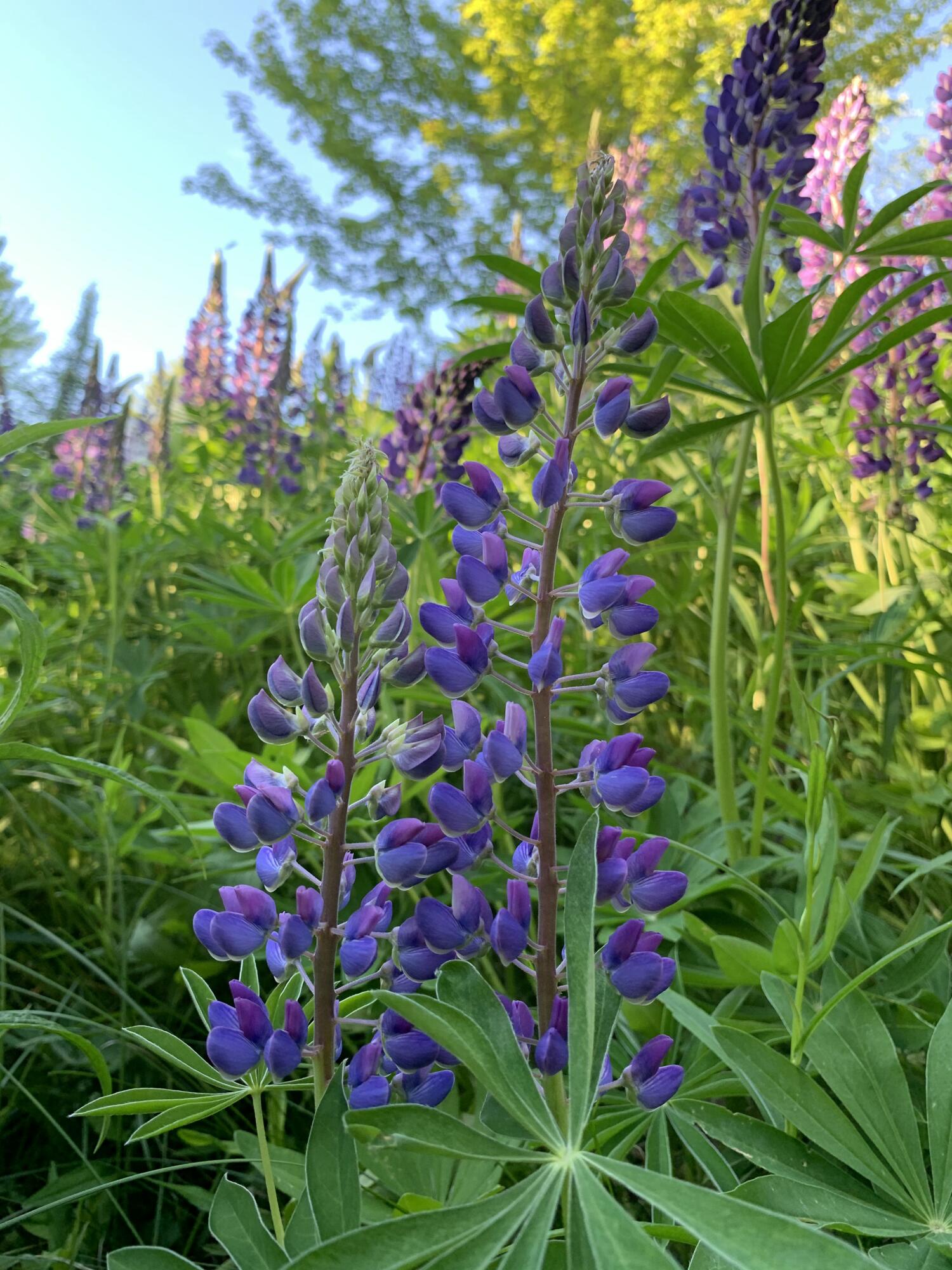 20 Harvest Ridge Road Freeport ME 04032