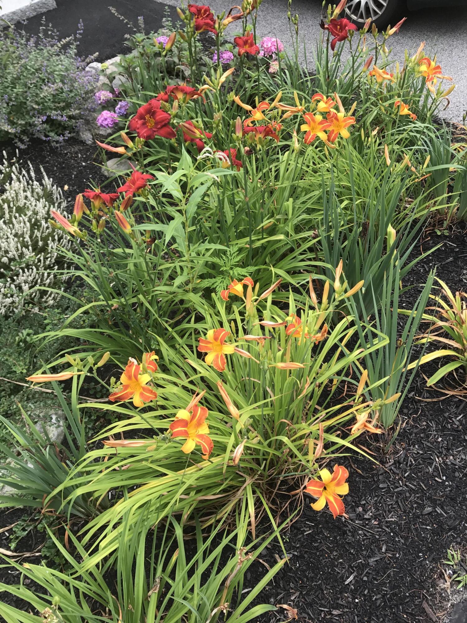 20 Harvest Ridge Road Freeport ME 04032