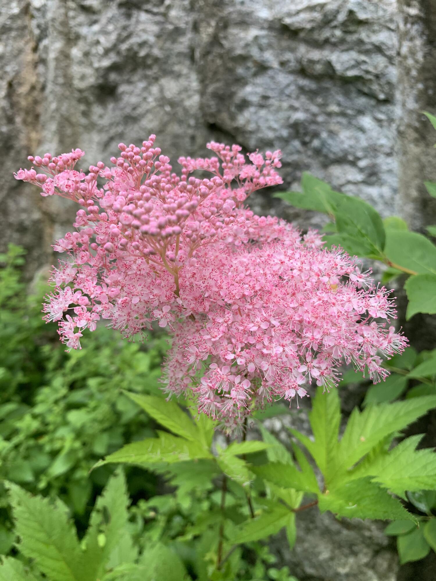 20 Harvest Ridge Road Freeport ME 04032