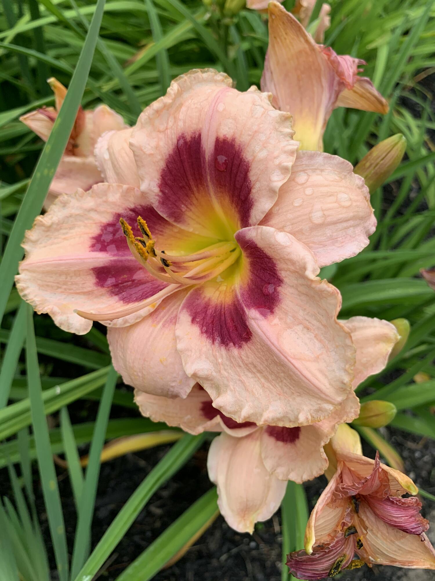 20 Harvest Ridge Road Freeport ME 04032