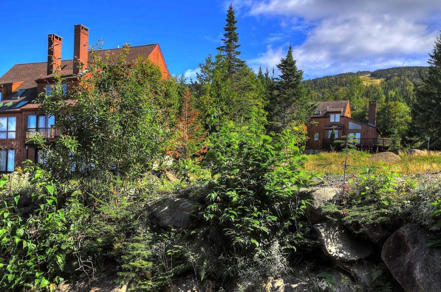 55 Rock Pond Road Sandy River Plt ME 04970