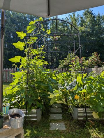 11 Antietam Street Brunswick ME 04011