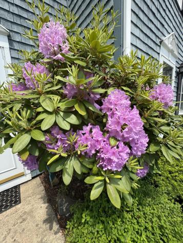 80 Baldwin Drive Bangor ME 04401