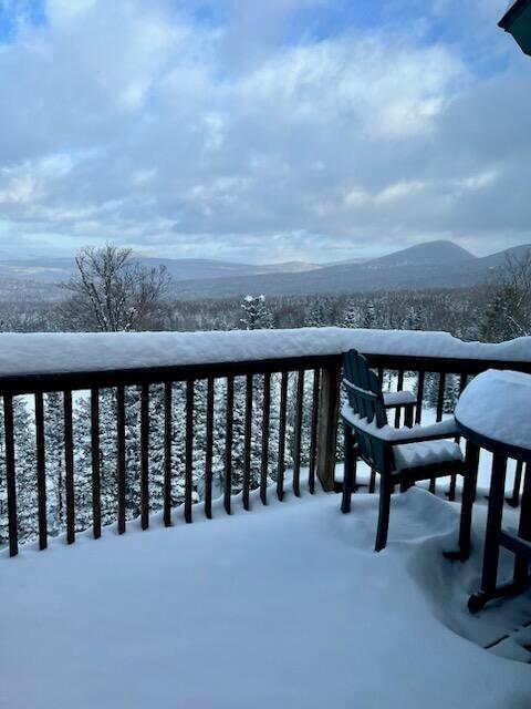 19-3 South Branch Way Sandy River Plt ME 04970