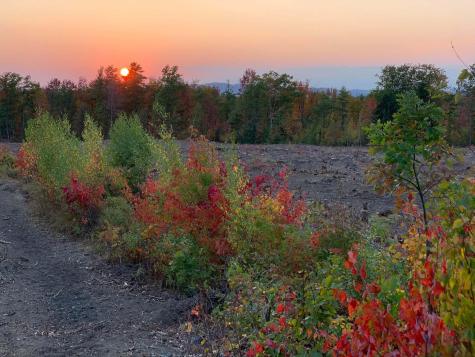 4 Macie Drive Standish ME 04084