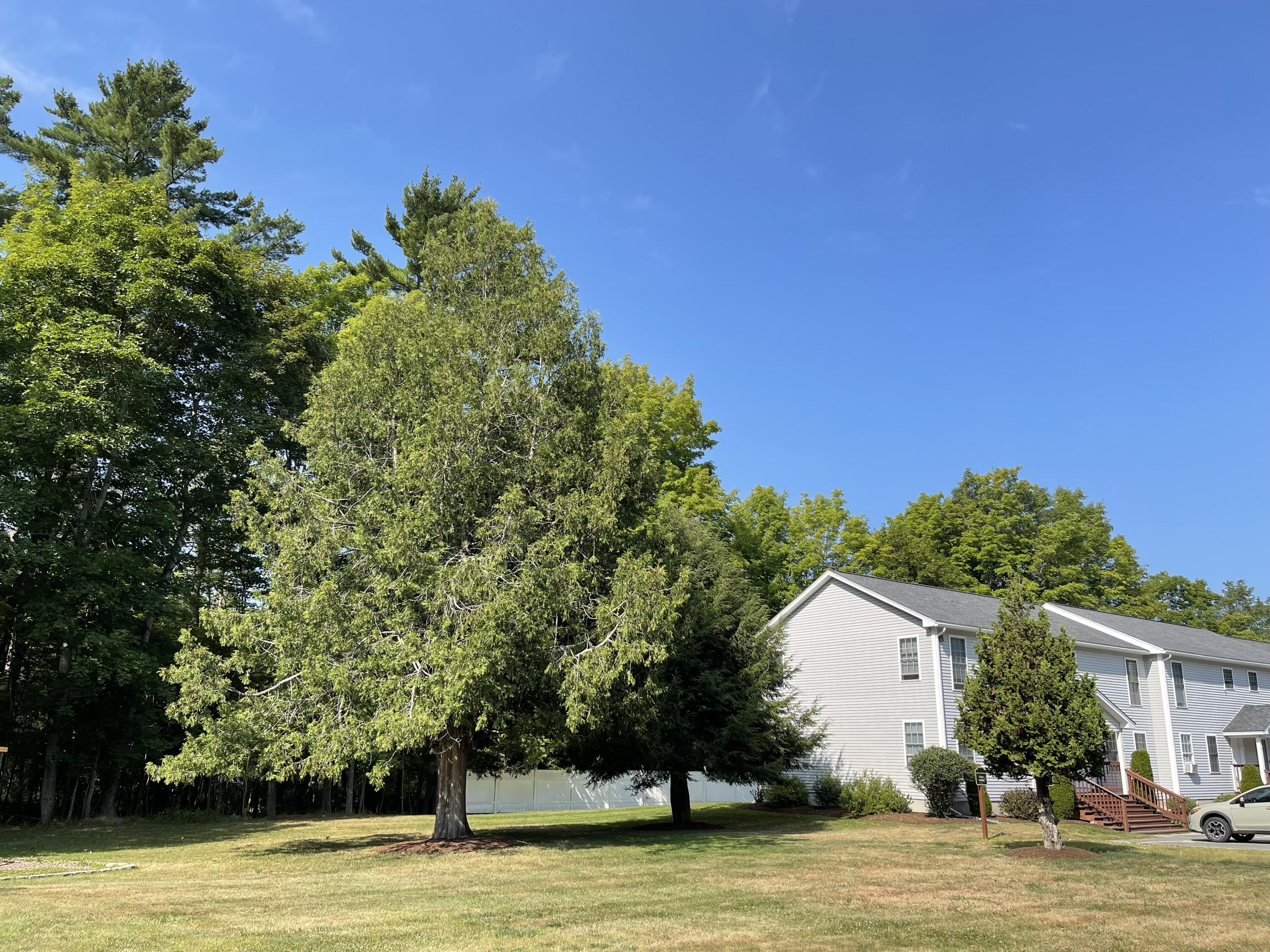 326 Stillwater Avenue Old Town ME 04468