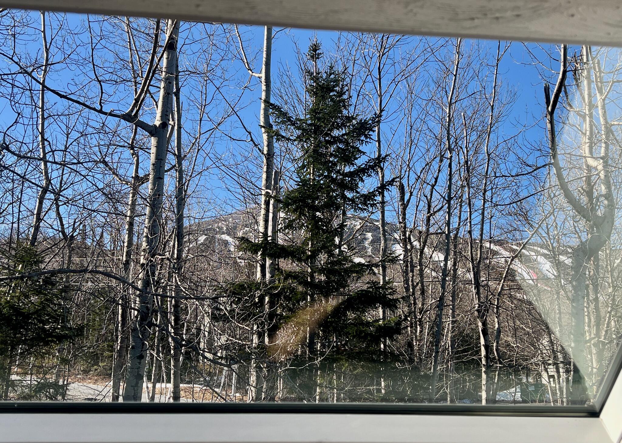 2328 Oak Drive Carrabassett Valley ME 04947
