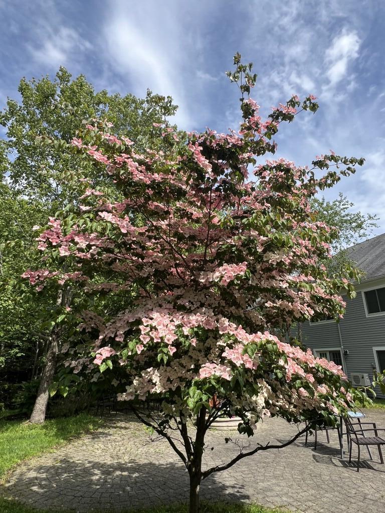 79 E Ridge Road Southwest Harbor ME 04679