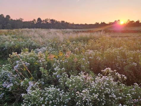 66 Village Road Belfast ME 04915