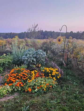 66 Village Road Belfast ME 04915