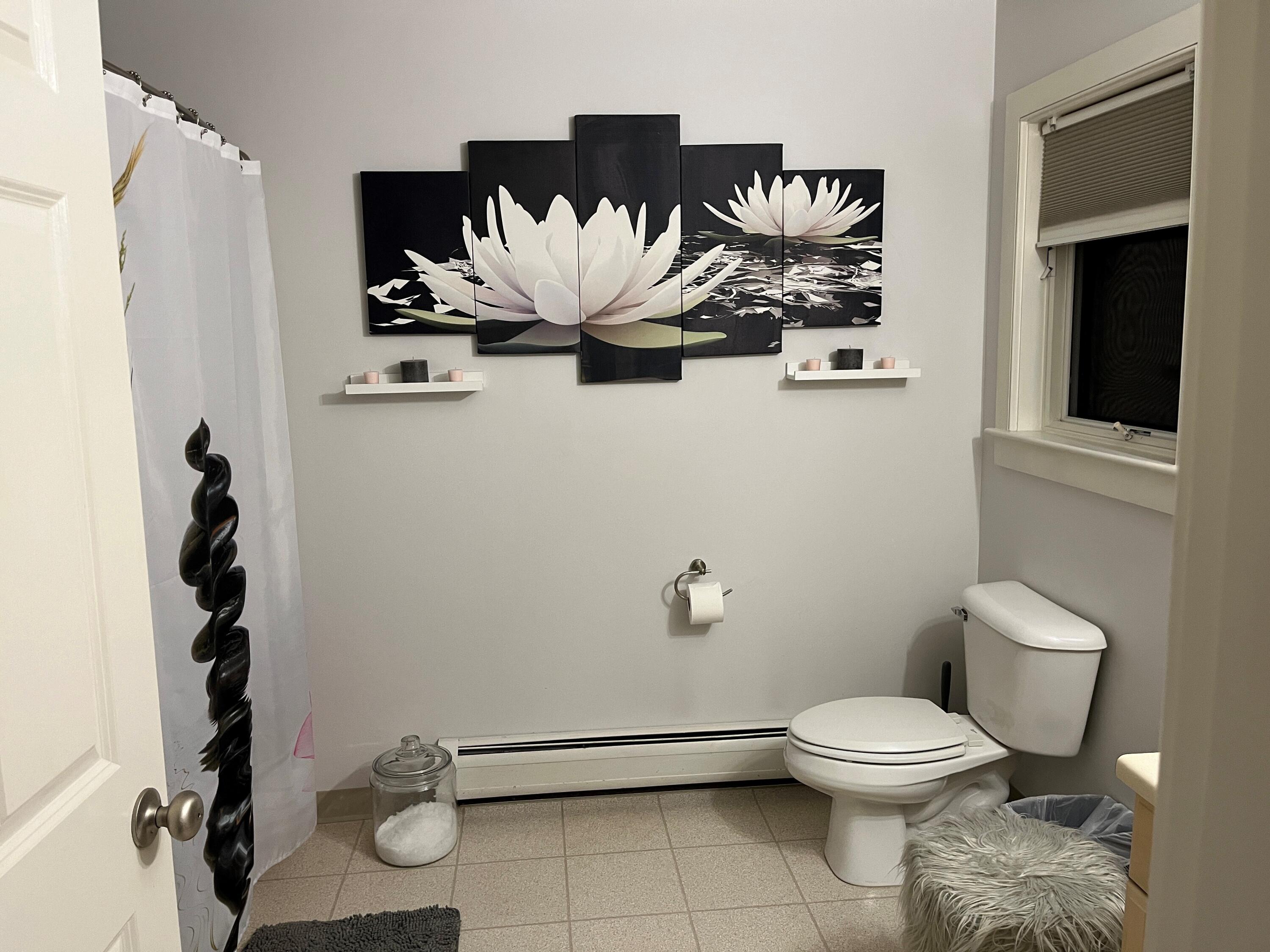 61 Springbrook Drive Belfast ME 04915
