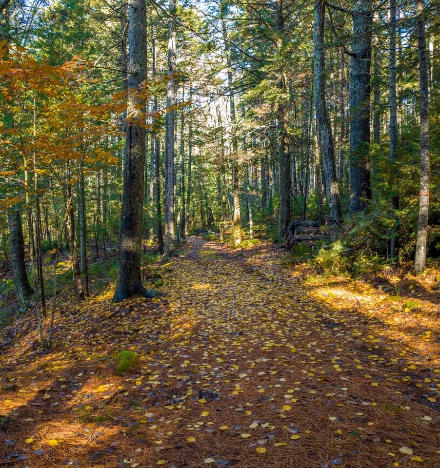 440 Belfast Road Camden ME 04843