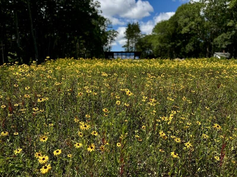 440 Belfast Road Camden ME 04843