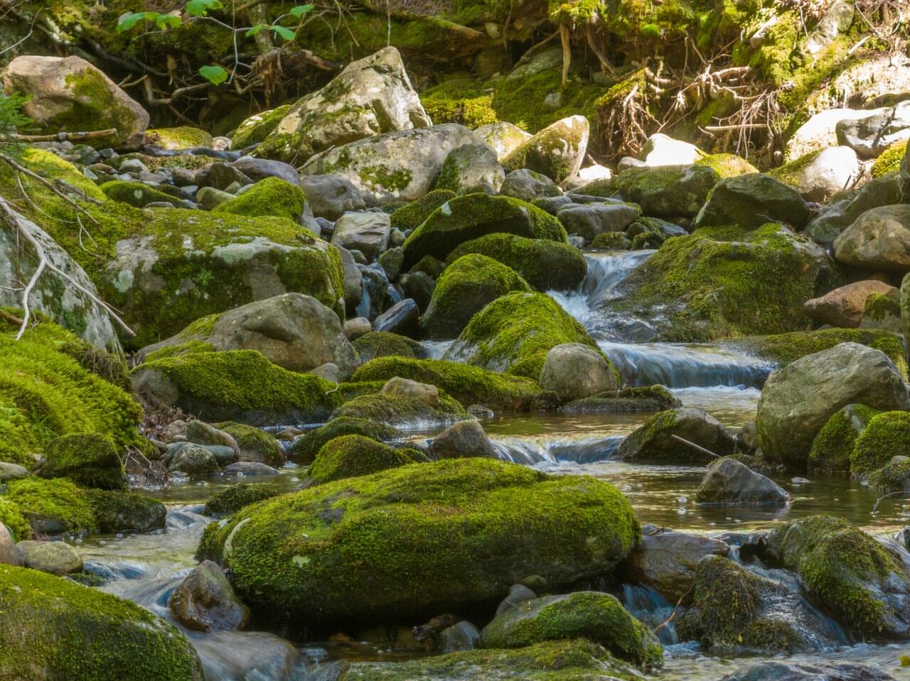 440 Belfast Road Camden ME 04843