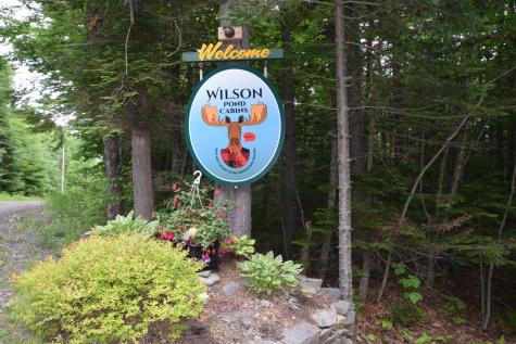 15 Wilson Pond Road Greenville ME 04441