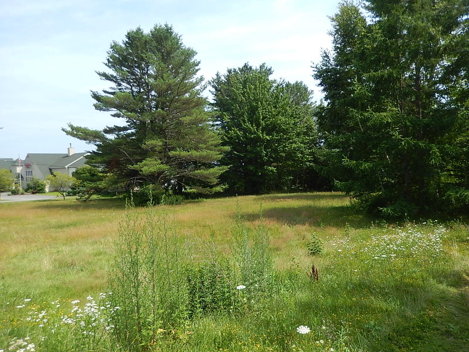 3 Porter Road Belfast ME 04915